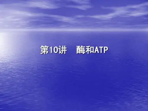 2011届高考生物一轮复习 第10讲 酶和ATP课件