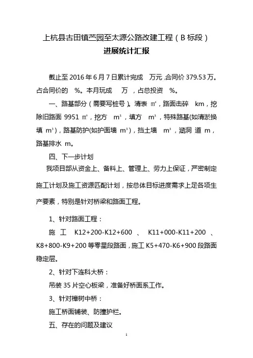 项目进度报告 2