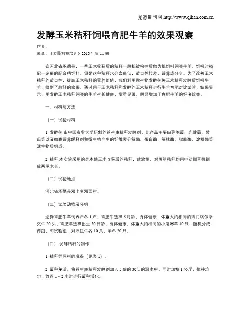 发酵玉米秸秆饲喂育肥牛羊的效果观察