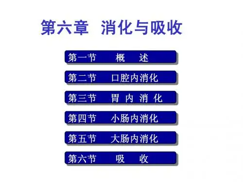 生理学-消化2