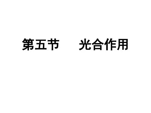 浙江省高中生物《光合作用的过程》课件浙教版必修1.ppt