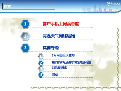 某公司网络运行情况报告