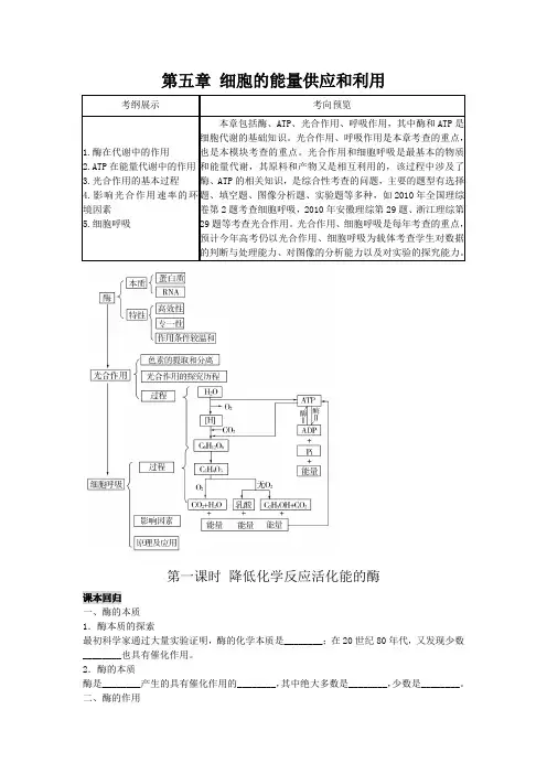 2012非常讲练测高三生物一轮复习精品学案(人教版)1-5-第一课时 降低化学反应活化能的酶