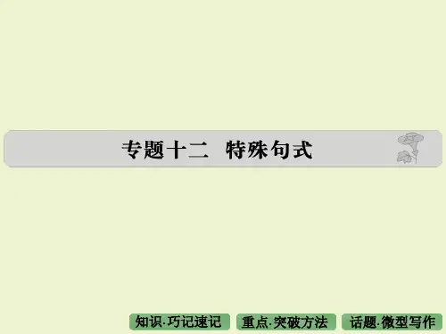 专题十二特殊句式