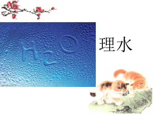 园林艺术之理水课件
