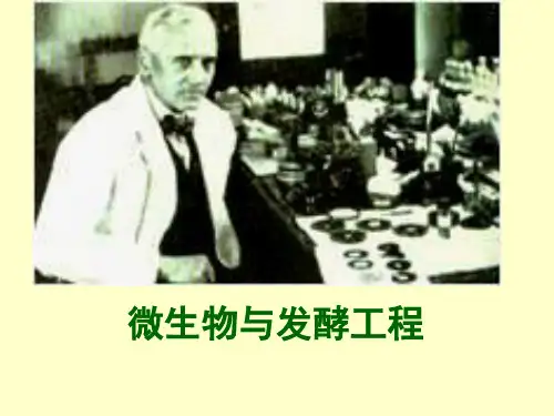 微生物介绍