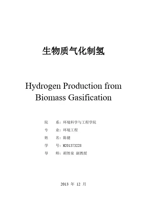 生物质气化制氢 2