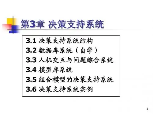 第三章 DSS ppt