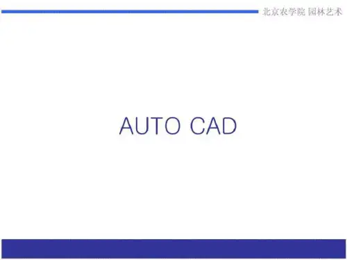 《CAD讲义》PPT课件