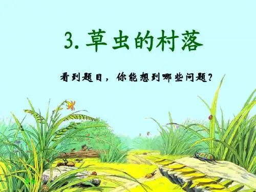 3.《草虫的村落》课件