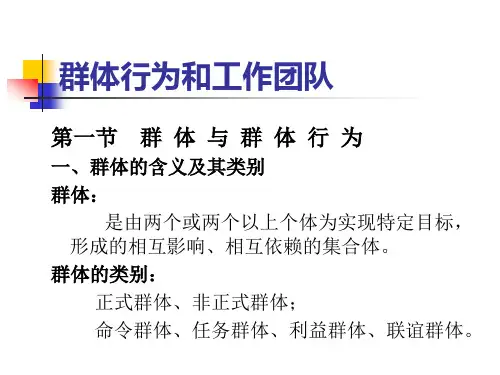 群体行为与工作团队分析