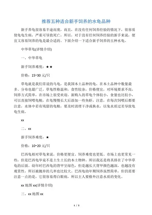 推荐五种适合新手饲养的水龟品种