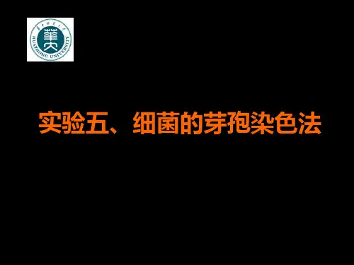 实验5+细菌的芽孢染色法