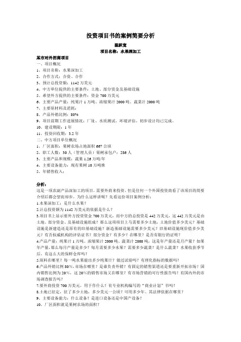 投资项目书的案例简要分析