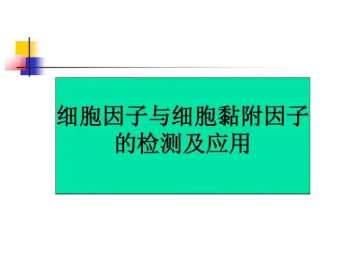 细胞因子