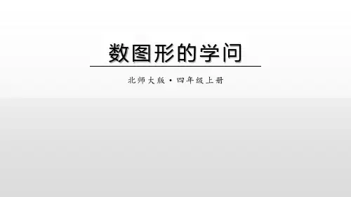 【课件】四上：数图形的学问