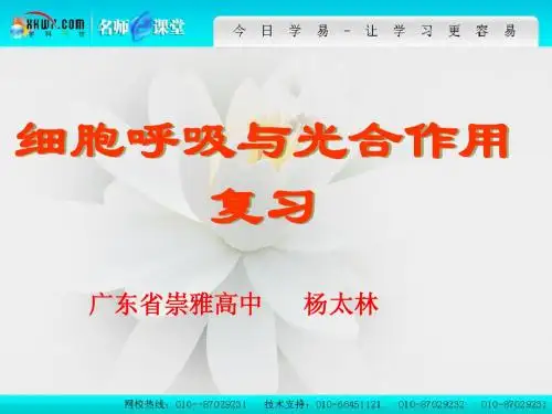 细胞呼吸与光和作用