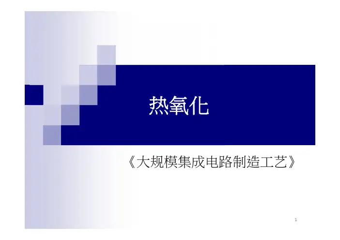 第三章 热氧化生长