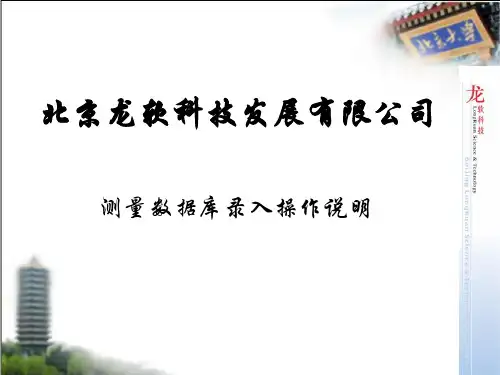 龙软测量数据库录入操作说明
