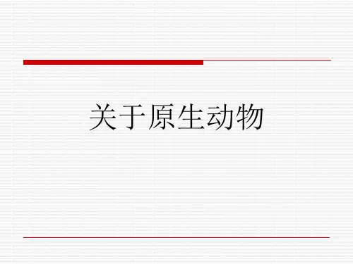关于原生动物