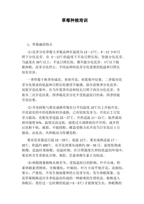 草莓种植培训