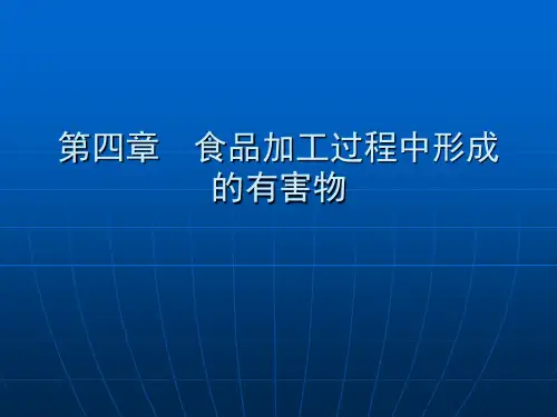第九章 食品加工过程中形成的