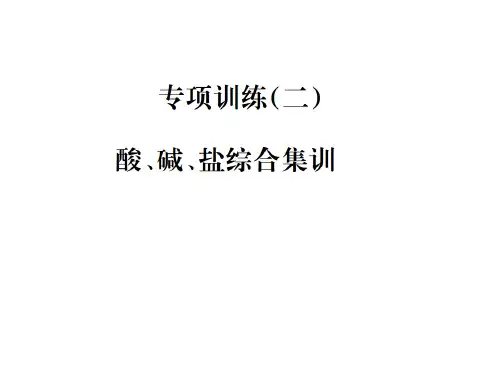 专项训练(二)