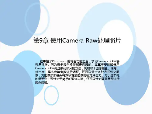 第9章 使用Camera Raw处理照片