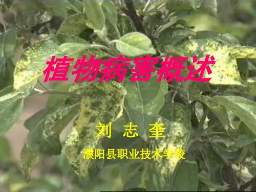 《植物病害概述》说课