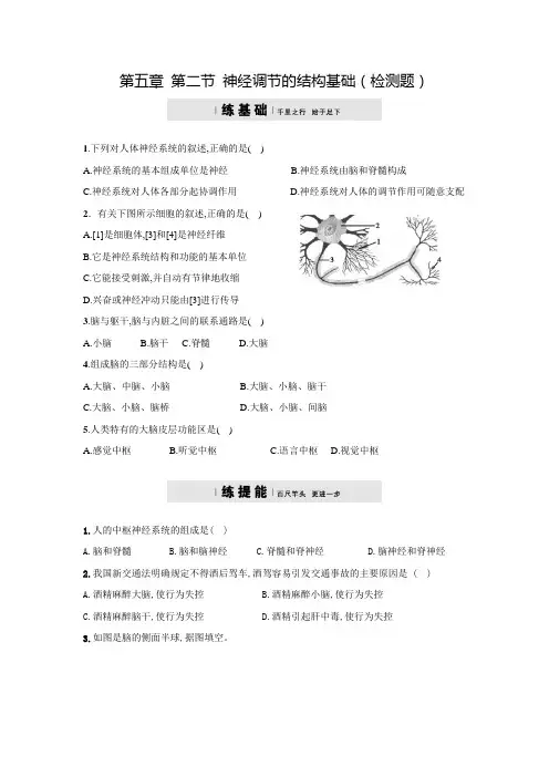 济南版七年级下册生物——第三单元第五章第二节神经调节的结构基础  测试试题