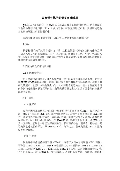 云南景谷桃子树铜矿矿床成因