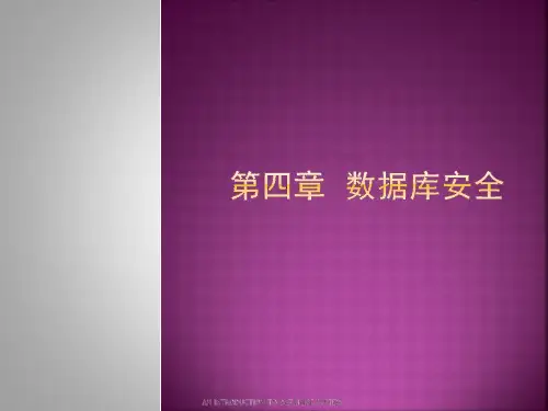 数据库安全概述