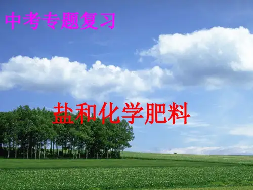 第十、十一单元酸碱盐总复习