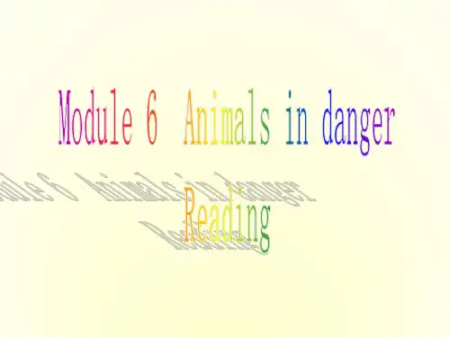 高中英语Module 6《Animals in Danger》课件(3)(外研版必修5)