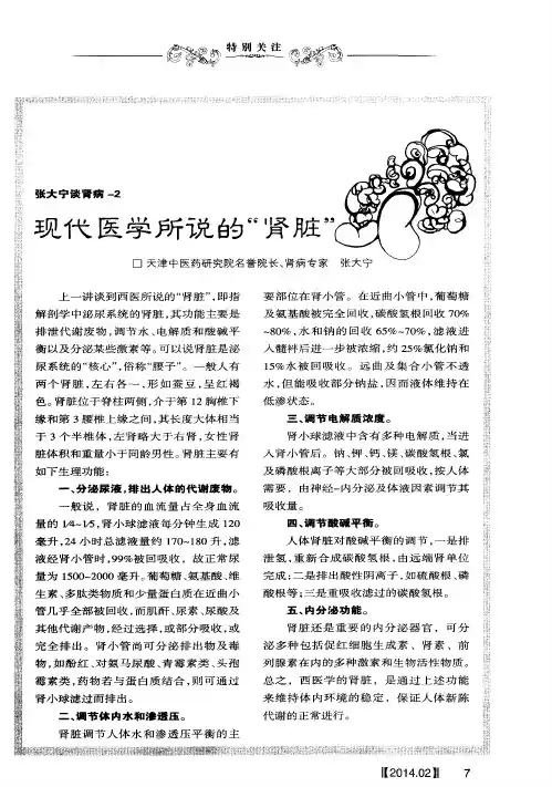 张大宁谈肾病-2 现代医学所说的“肾脏”