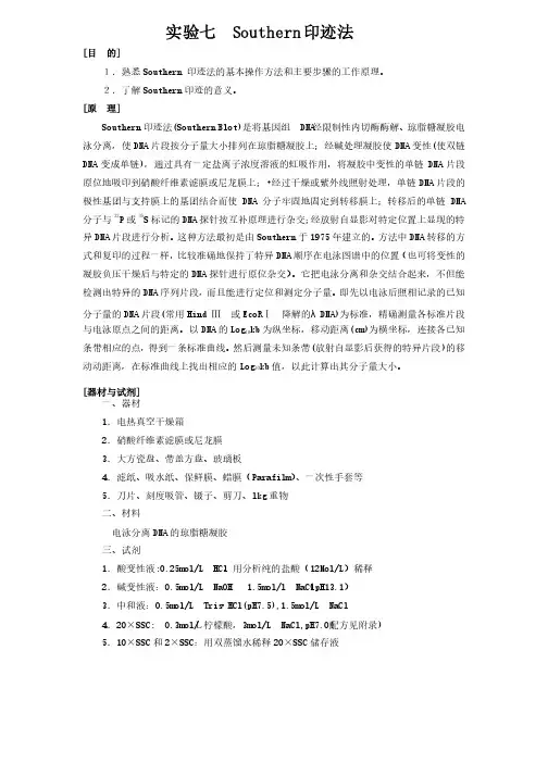 southern印迹法