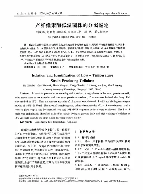 产纤维素酶低温菌株的分离鉴定