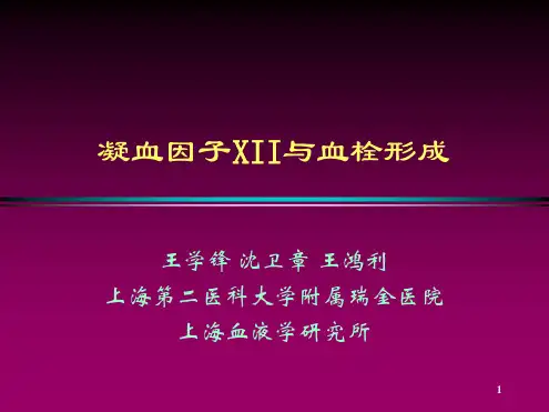 王学锋 凝血因子XII与血栓形成