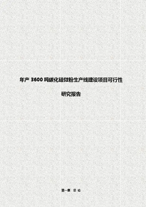 年产3600吨碳化硅微粉生产线建设项目可行性研究报告