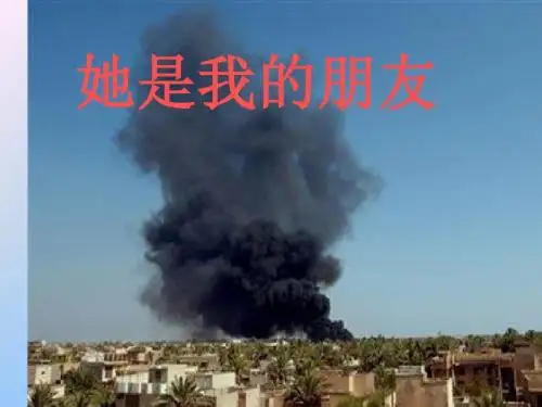 小学语文课件-她是我的朋友(1)