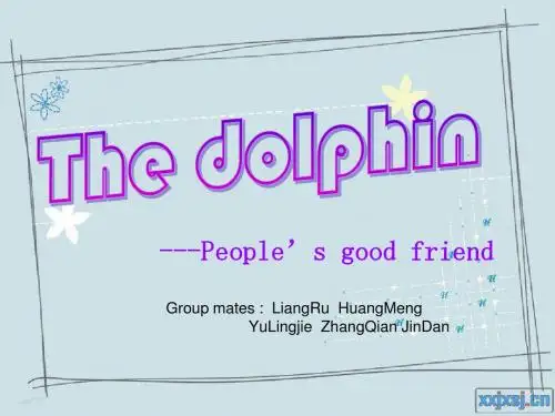 the dolphin