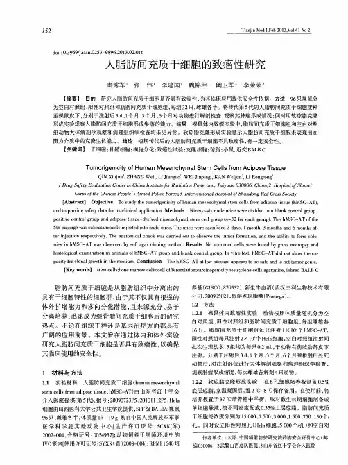 人脂肪间充质干细胞的致瘤性研究