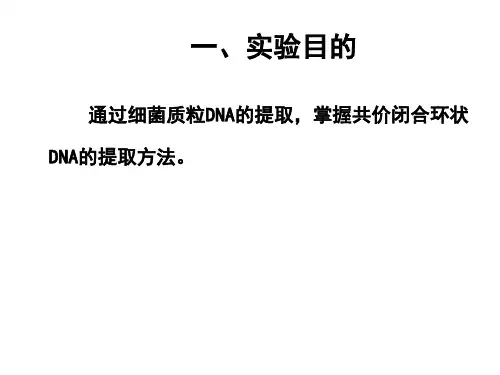 细菌转化实验