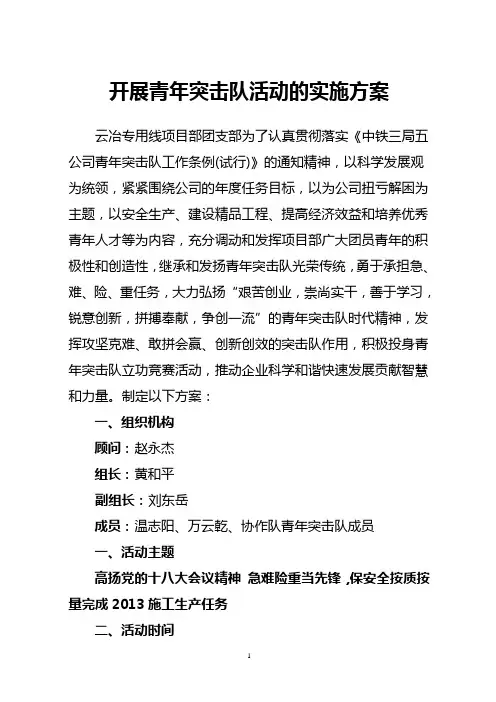 开展青年突击队活动的实施方案