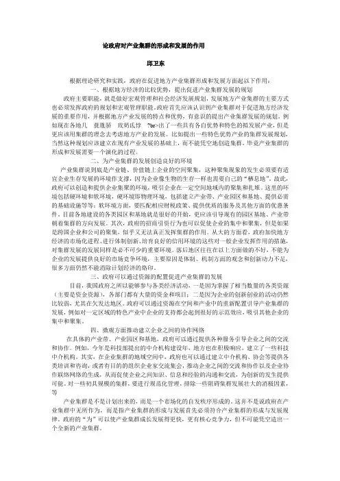 论政府对产业集群形成和发展的作用