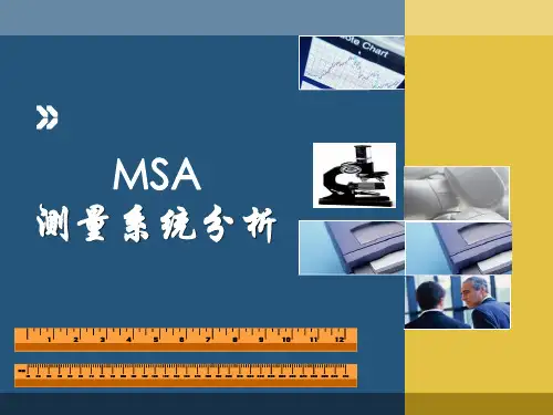 MSA培训(完整版)