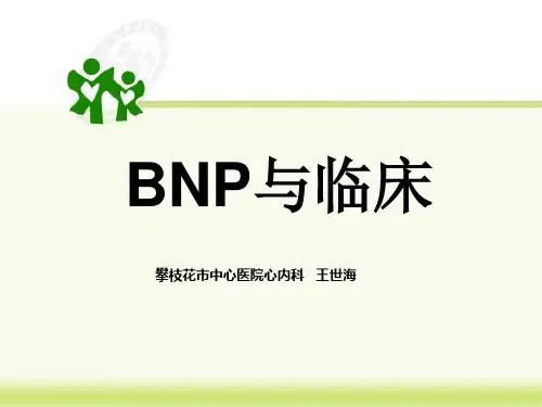 B型利钠肽解析