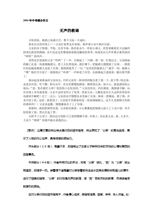 2004年中考满分作文