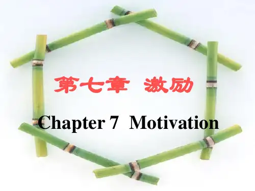 第七章：激励