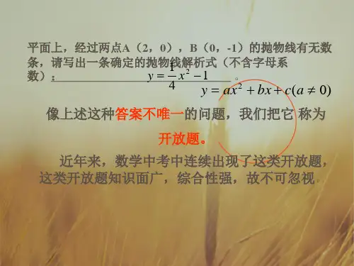 最新-中考数学最新课件中考数学中的开放性问题 精品